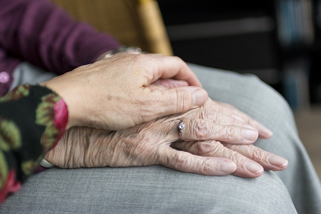 CÃ³mo evitar el dolor de muela por comida atorada