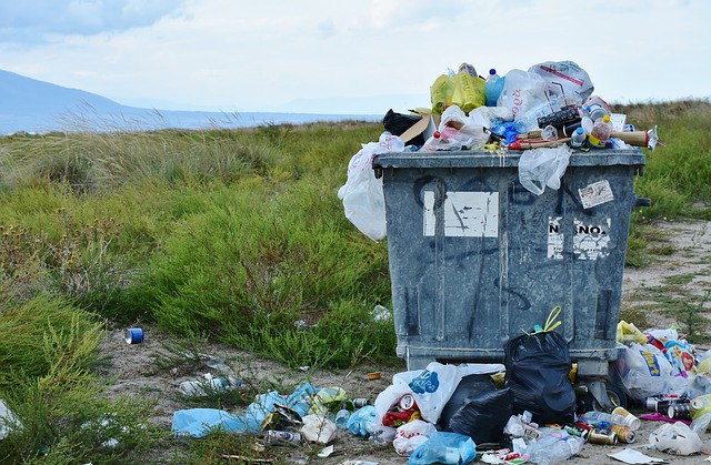 Desperdicio de comida: ¿qué hacer por el ambiente?