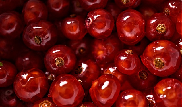 Deliciosa comida sin azúcar para diabéticos