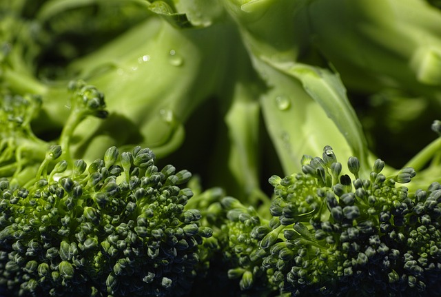 Calorías en un puré de verduras: descubre cuántas tiene