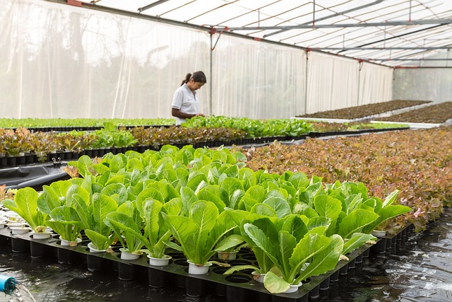 Alimenta a tus peces con nuestro bloque de comida especializada