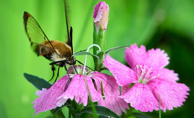 Trucos para introducir comida en clase sin ser descubierto