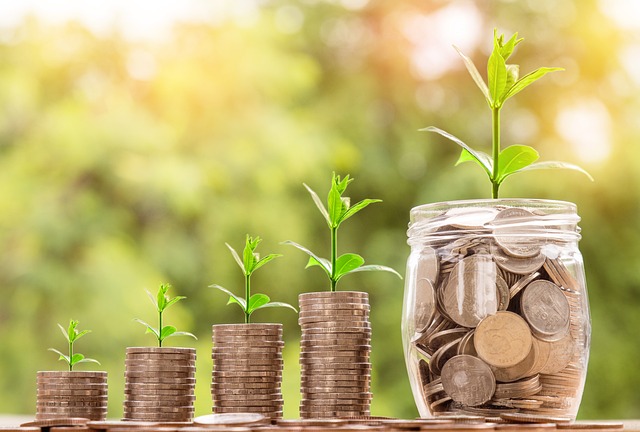 GuÃ­a de compra: encuentra el mejor hojaldre del mercado