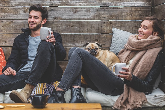 Consejos de comida para tu Jack Russell Terrier
