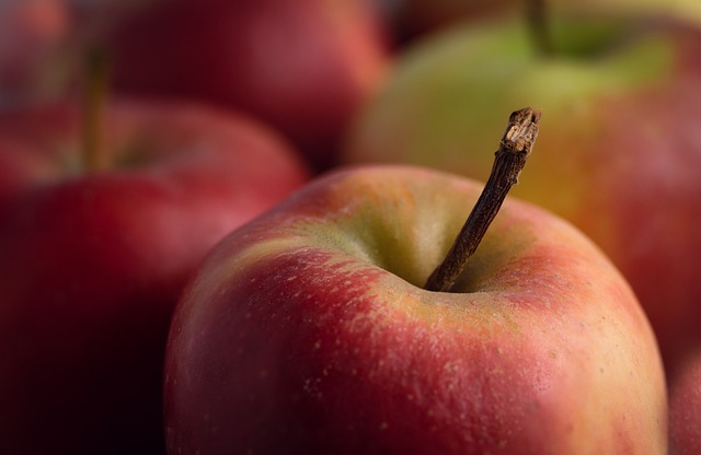 Descubra os benefícios da comida saudável com hortaliças